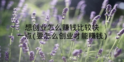 想创业怎么赚钱比较快一点(要怎么创业才能赚钱)