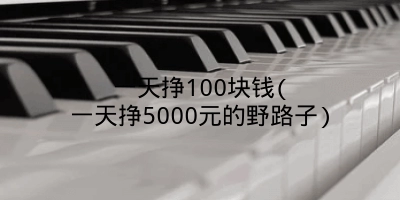 一天挣100块钱(一天挣5000元的野路子)