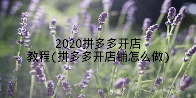 2020拼多多开店教程(拼多多开店铺怎么做)