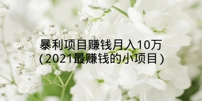 暴利项目赚钱月入10万(2021最赚钱的小项目)