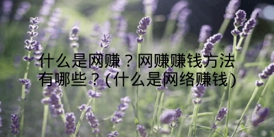 什么是网赚？网赚赚钱方法有哪些？(什么是网络赚钱)