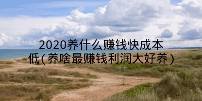 2020养什么赚钱快成本低(养啥最赚钱利润大好养)