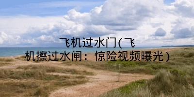 飞机过水门(飞机擦过水闸：惊险视频曝光)