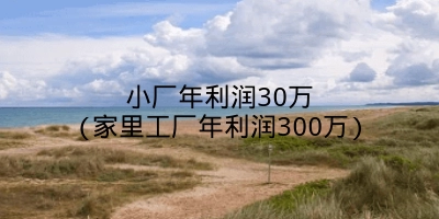 小厂年利润30万(家里工厂年利润300万)