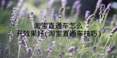 淘宝直通车怎么开效果好(淘宝直通车技巧)