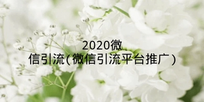 2020微信引流(微信引流平台推广)