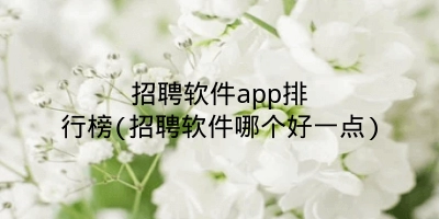 招聘软件app排行榜(招聘软件哪个好一点)