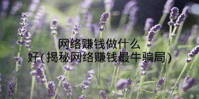 网络赚钱做什么好(揭秘网络赚钱最牛骗局)