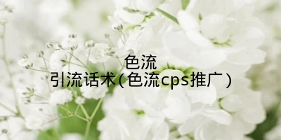 色流引流话术(色流cps推广)