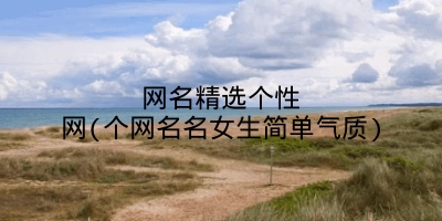网名精选个性网(个网名名女生简单气质)