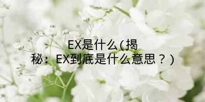 EX是什么(揭秘：EX到底是什么意思？)