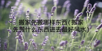 搬家先搬哪样东西(搬家先搬什么东西进去最好风水)