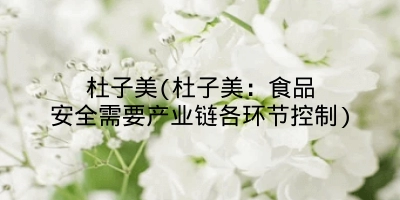杜子美(杜子美：食品安全需要产业链各环节控制)