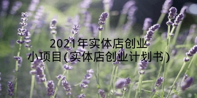 2021年实体店创业小项目(实体店创业计划书)