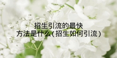 招生引流的最快方法是什么(招生如何引流)