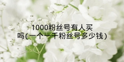 1000粉丝号有人买吗(一个一千粉丝号多少钱)