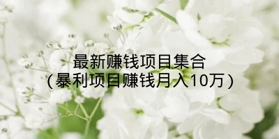 最新赚钱项目集合(暴利项目赚钱月入10万)