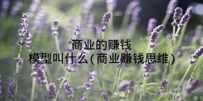 商业的赚钱模型叫什么(商业赚钱思维)