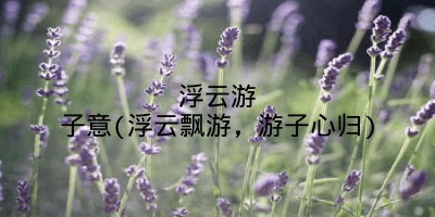 浮云游子意(浮云飘游，游子心归)