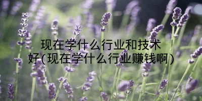 现在学什么行业和技术好(现在学什么行业赚钱啊)