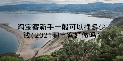 淘宝客新手一般可以挣多少钱(2021淘宝客好做吗)