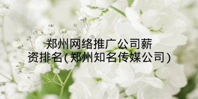 郑州网络推广公司薪资排名(郑州知名传媒公司)