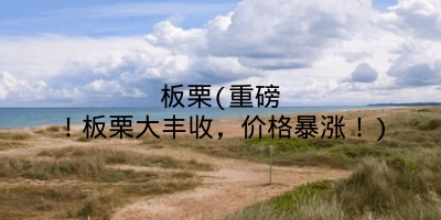 板栗(重磅！板栗大丰收，价格暴涨！)