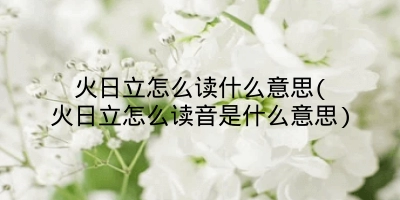火日立怎么读什么意思(火日立怎么读音是什么意思)