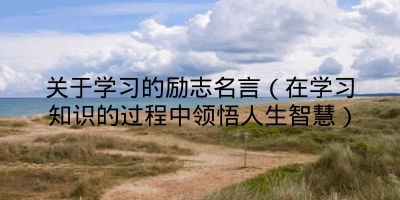 关于学习的励志名言（在学习知识的过程中领悟人生智慧）