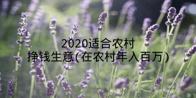 2020适合农村挣钱生意(在农村年入百万)