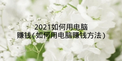 2021如何用电脑赚钱(如何用电脑赚钱方法)