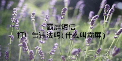 霸屏短信打广告违法吗(什么叫霸屏)