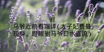 驸马爷近前看端详(太子妃费曼现身，瞪眼驸马爷口水直流)