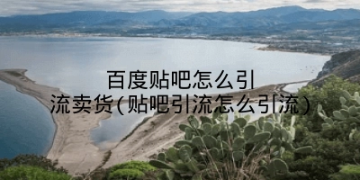 百度贴吧怎么引流卖货(贴吧引流怎么引流)