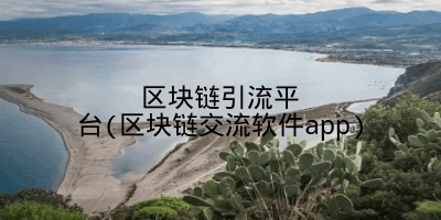 区块链引流平台(区块链交流软件app)