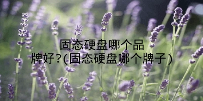 固态硬盘哪个品牌好?(固态硬盘哪个牌子)