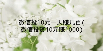 微信投10元一天赚几百(微信投资10元赚1000)