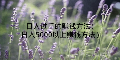 日入过千的赚钱方法(日入5000以上赚钱方法)