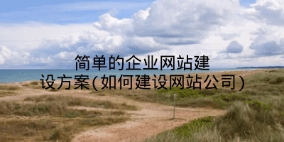 简单的企业网站建设方案(如何建设网站公司)