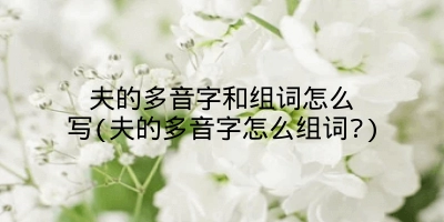 夫的多音字和组词怎么写(夫的多音字怎么组词?)