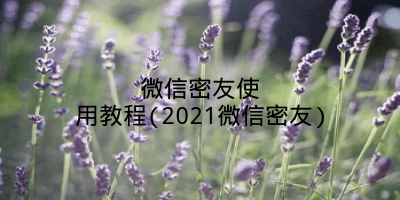 微信密友使用教程(2021微信密友)