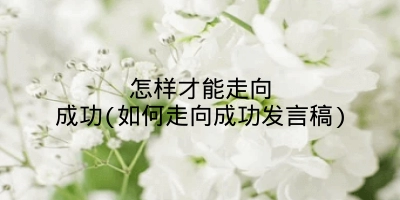 怎样才能走向成功(如何走向成功发言稿)