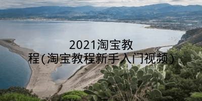 2021淘宝教程(淘宝教程新手入门视频)