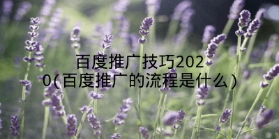 百度推广技巧2020(百度推广的流程是什么)