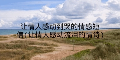 让情人感动到哭的情感短信(让情人感动流泪的情诗)