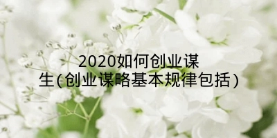 2020如何创业谋生(创业谋略基本规律包括)