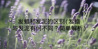 发蜡和发泥的区别(发蜡与发泥有何不同？简单解析)
