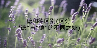 徳和德区别(区分“徳”与“德”的不同之处)
