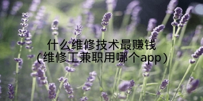 什么维修技术最赚钱(维修工兼职用哪个app)