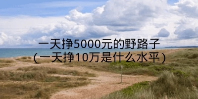 一天挣5000元的野路子(一天挣10万是什么水平)